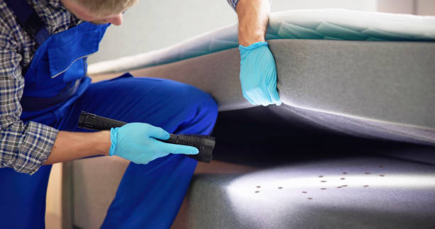Best Termite Control Services  in Eureka, KS