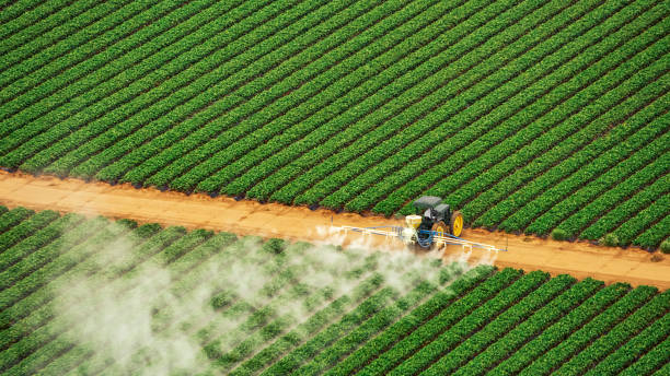 Best Pest Removal Services  in Eureka, KS