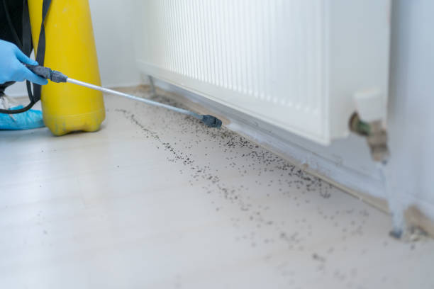 Best Pest Control for Restaurants  in Eureka, KS