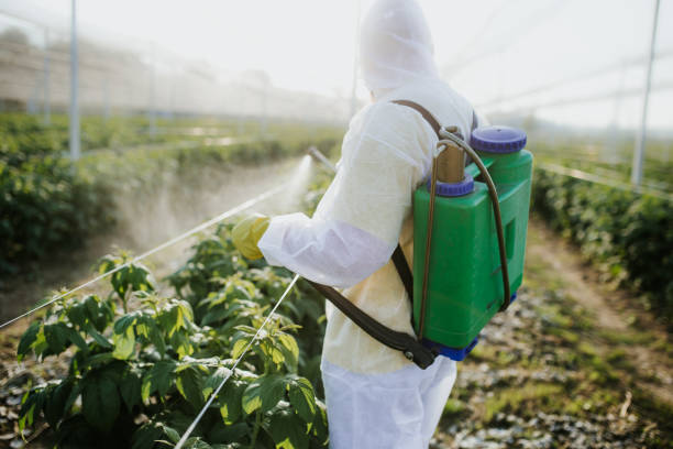 Best Emergency Pest Control  in Eureka, KS